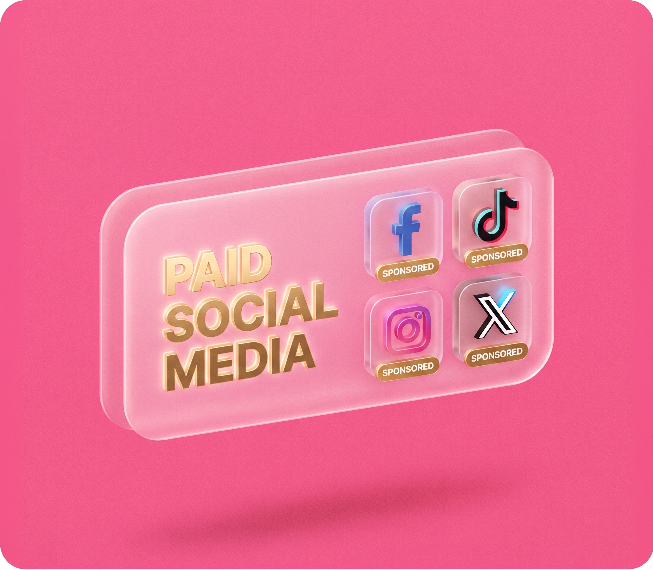 Paid social media advertising on Facebook, Instagram, TikTok and X